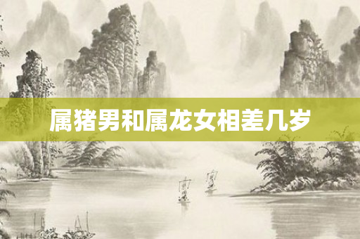属猪男和属龙女相差几岁