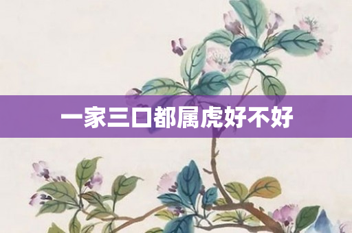 一家三口都属虎好不好