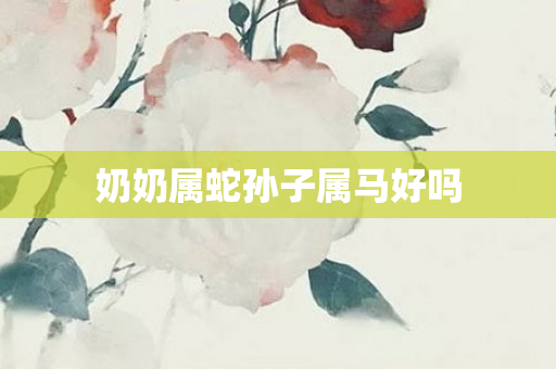 奶奶属蛇孙子属马好吗
