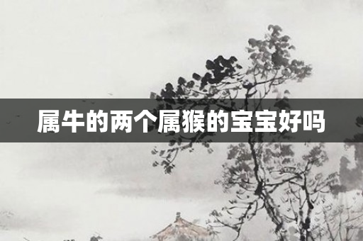 属牛的两个属猴的宝宝好吗