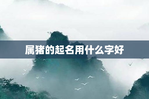 属猪的起名用什么字好