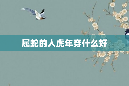 属蛇的人虎年穿什么好