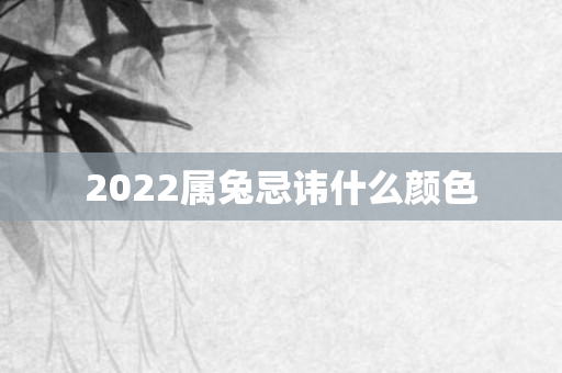 2022属兔忌讳什么颜色