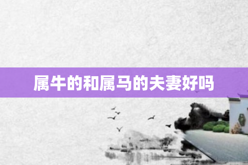 属牛的和属马的夫妻好吗