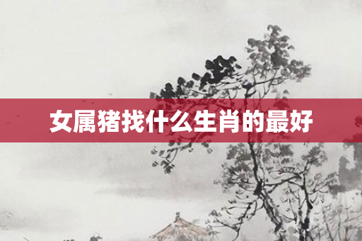 女属猪找什么生肖的更好