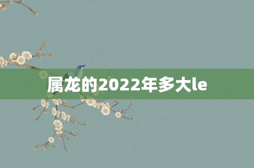 属龙的2022年多大le