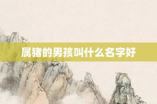 属猪的男孩叫什么名字好
