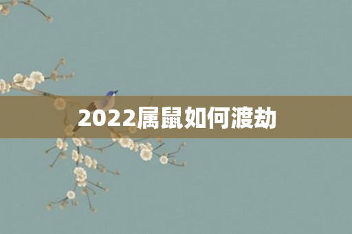 2022属鼠如何渡劫