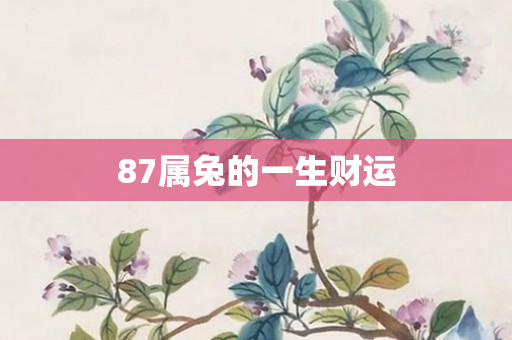 87属兔的一生财运