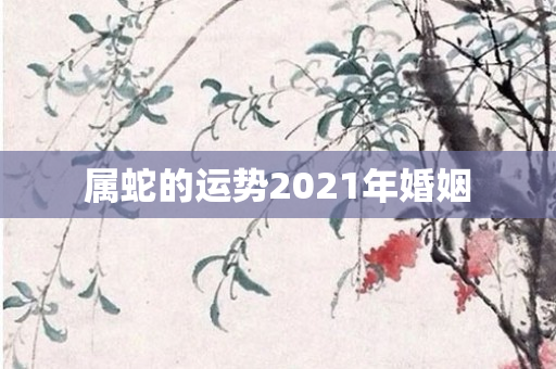属蛇的运势2021年婚姻