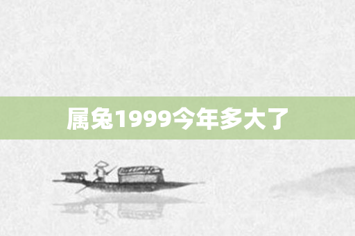 属兔1999今年多大了