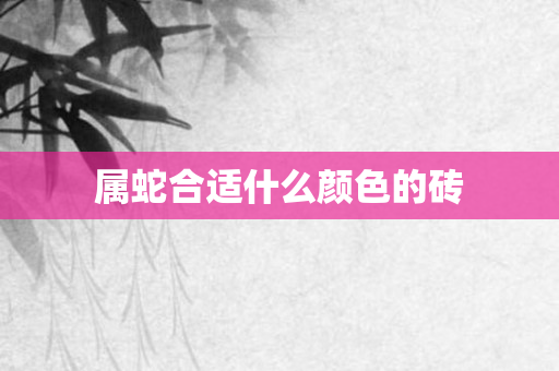 属蛇合适什么颜色的砖