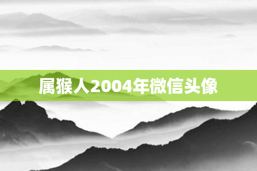 属猴人2004年微信头像