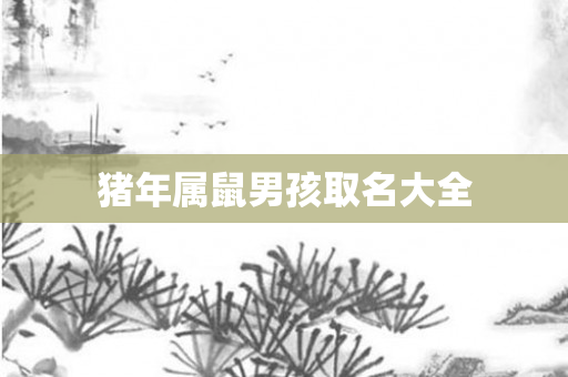 猪年属鼠男孩取名大全
