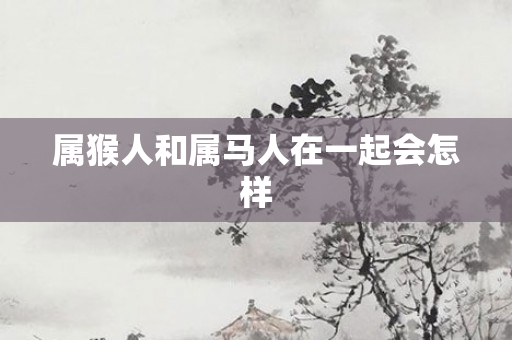 属猴人和属马人在一起会怎样