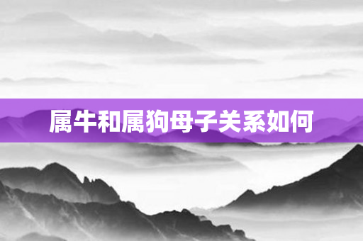 属牛和属狗母子关系如何
