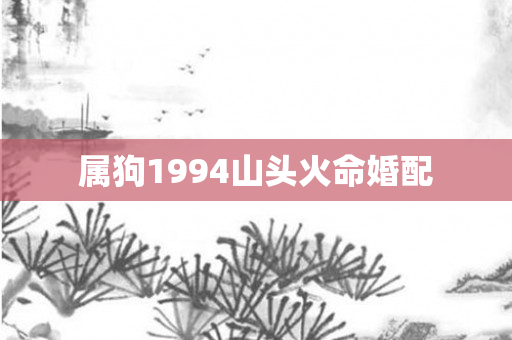 属狗1994山头火命婚配