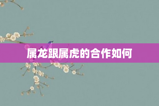 属龙跟属虎的合作如何