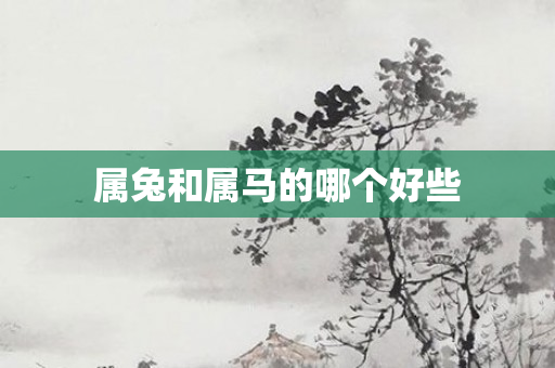 属兔和属马的哪个好些