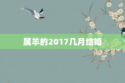 属羊的2017几月结婚