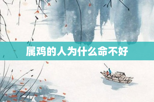 属鸡的人为什么命不好