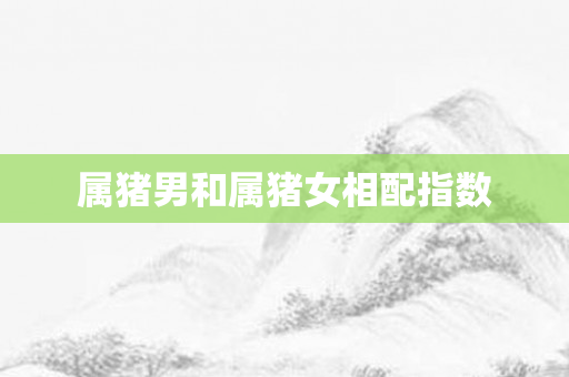 属猪男和属猪女相配指数