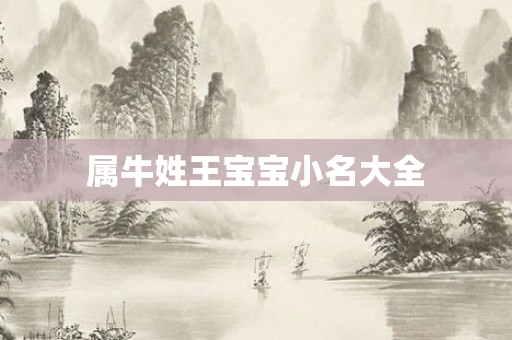 属牛姓王宝宝小名大全