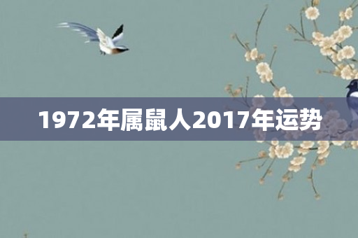 1972年属鼠人2017年运势