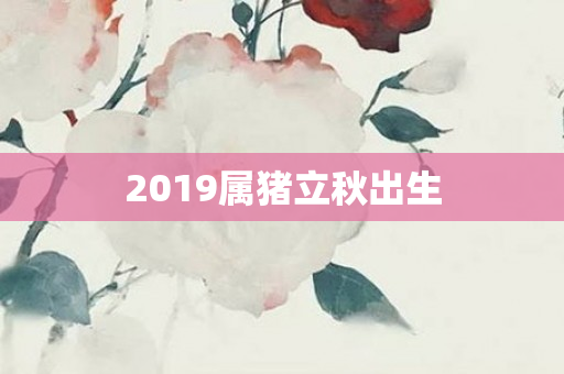 2019属猪立秋出生