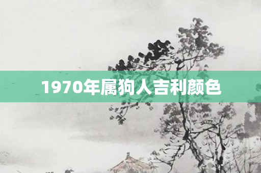 1970年属狗人吉利颜色