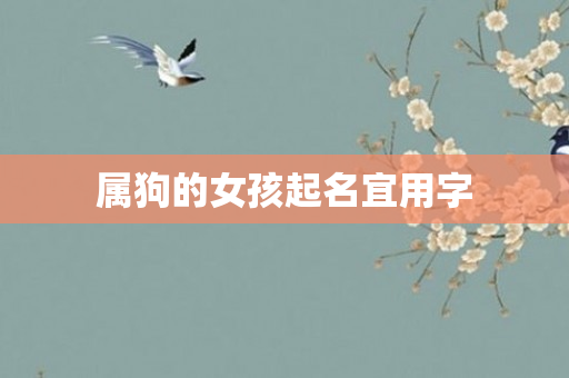 属狗的女孩起名宜用字