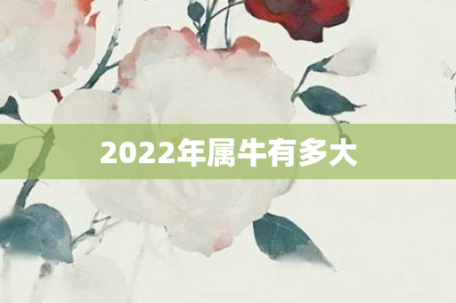2022年属牛有多大
