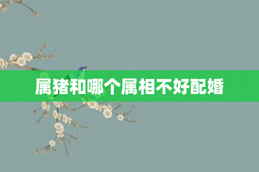 属猪和哪个属相不好配婚