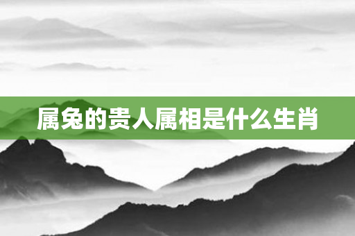 属兔的贵人属相是什么生肖