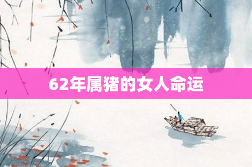 62年属猪的女人命运