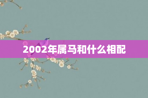 2002年属马和什么相配