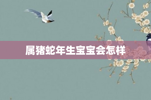 属猪蛇年生宝宝会怎样