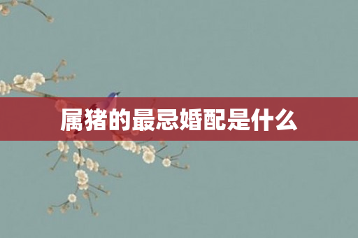 属猪的最忌婚配是什么