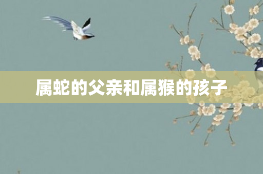 属蛇的父亲和属猴的孩子