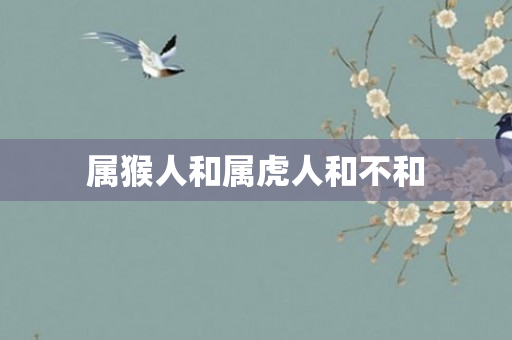 属猴人和属虎人和不和