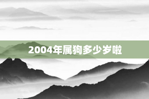2004年属狗多少岁啦