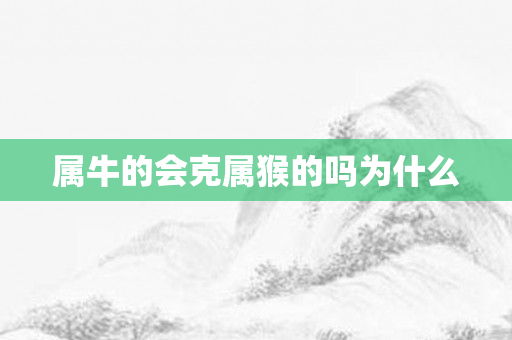 属牛的会克属猴的吗为什么
