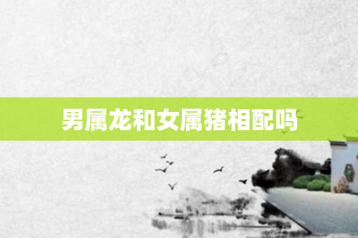 男属龙和女属猪相配吗