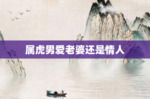 属虎男爱老婆还是情人