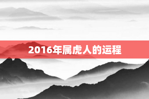 2016年属虎人的运程