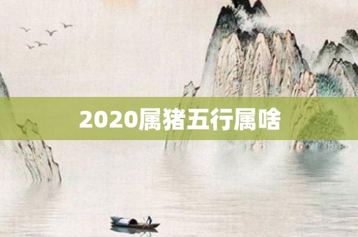 2020属猪五行属啥