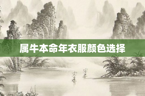 属牛本命年衣服颜色选择