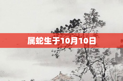属蛇生于10月10日