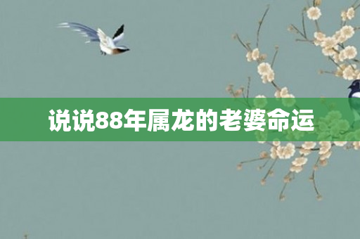 说说88年属龙的老婆命运