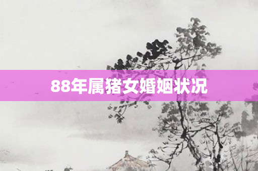 88年属猪女婚姻状况